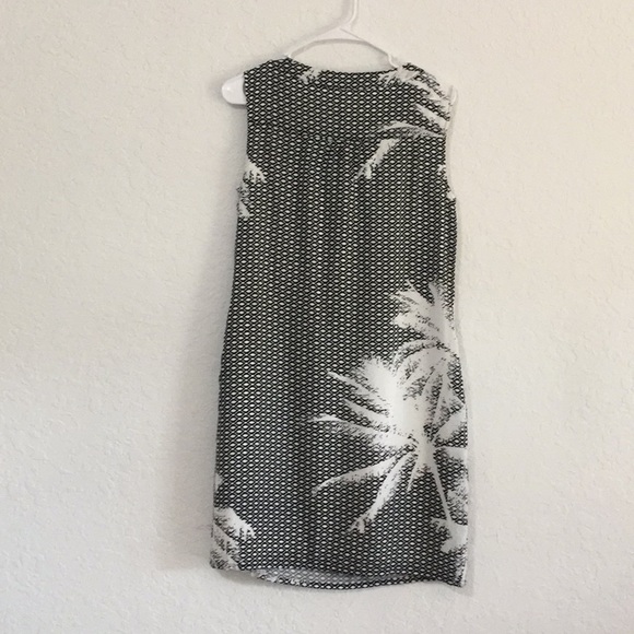 Black and White with palm design. Knee lenth - Picture 2 of 5